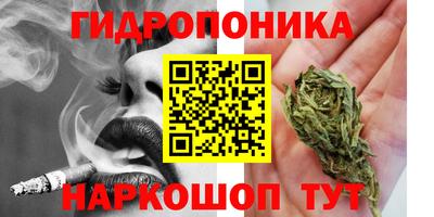 тгк Кинель